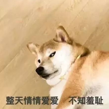 孤寂单身狗的柠檬日