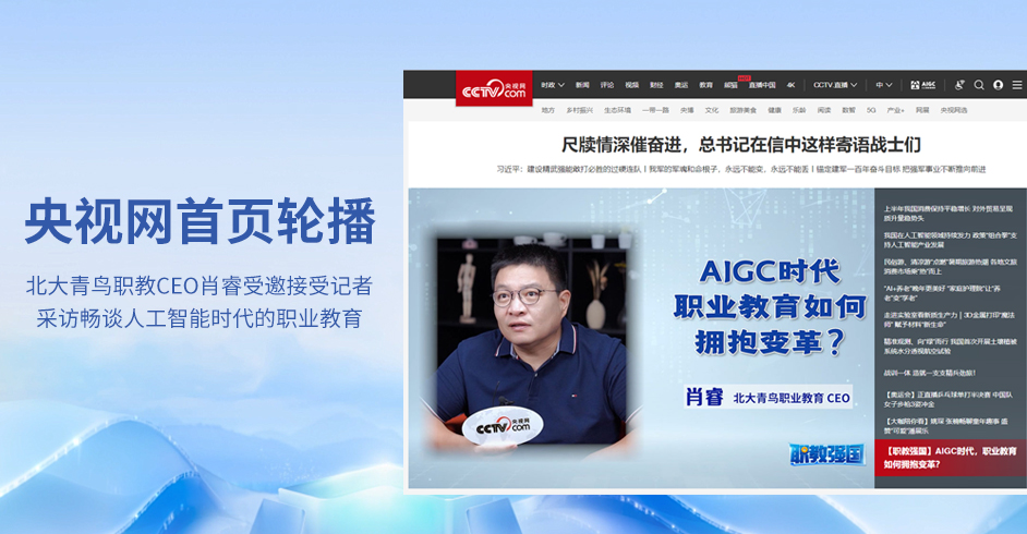 央视网采访