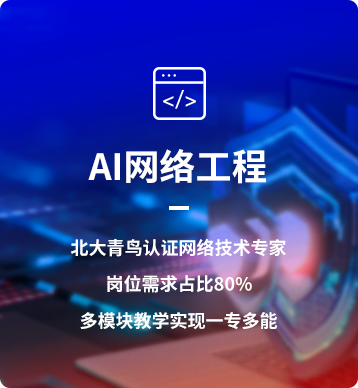 AI網(wǎng)絡(luò)工程